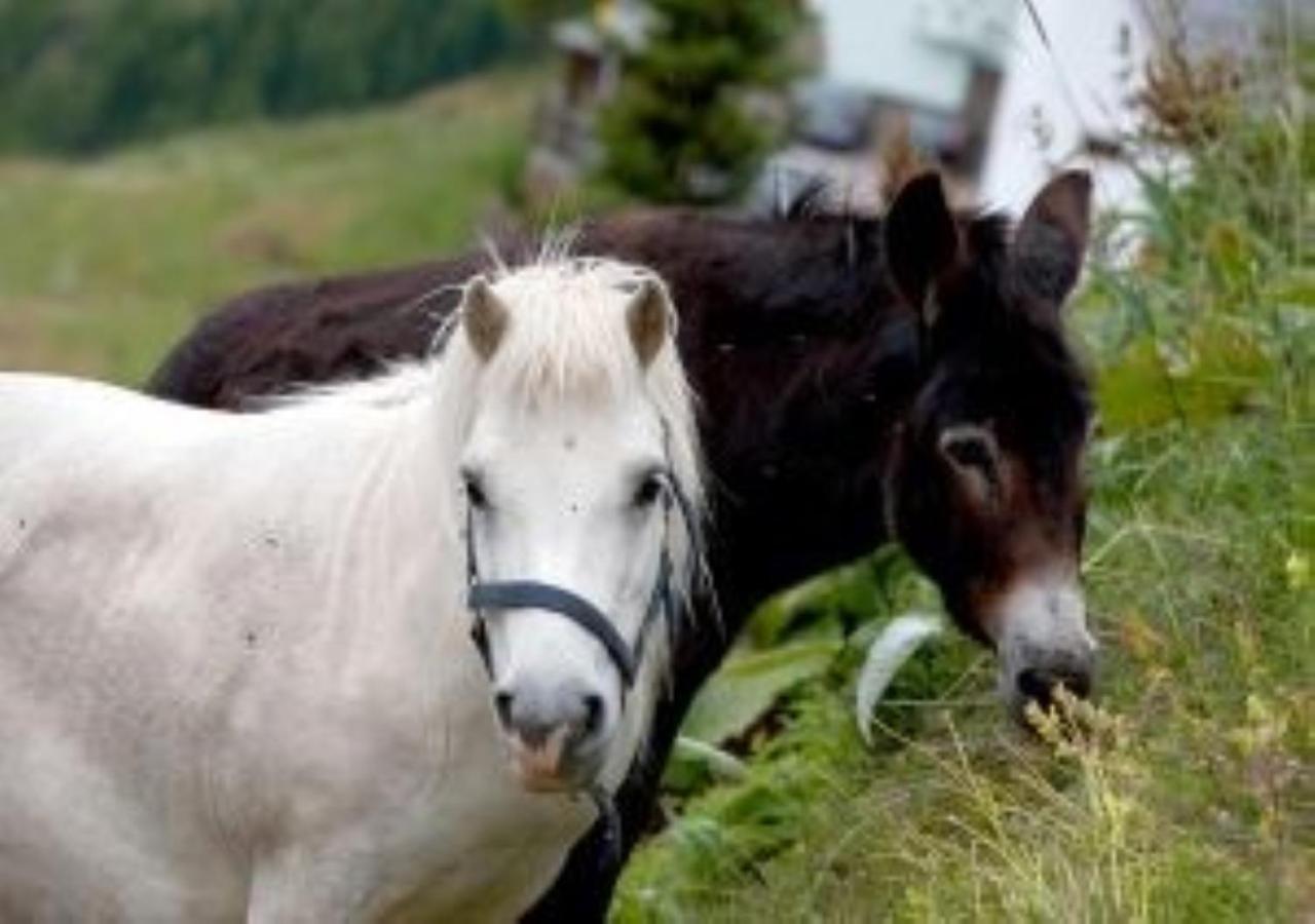 Hotel Alpengasthof Gaislach Alm Sölden Zewnętrze zdjęcie